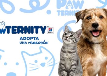 Hill’s Pet Nutrition lanza Pawternity para transformar la adopción de mascotas en México