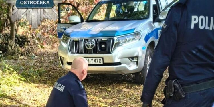 Ataque en escuela en Polonia: estudiante hiere a nueve personas tras agresión con cuchillo