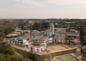 Novonesis: biosoluciones en México crecerían más de 130 % y abrirían oportunidad de 12 mil millones de euros